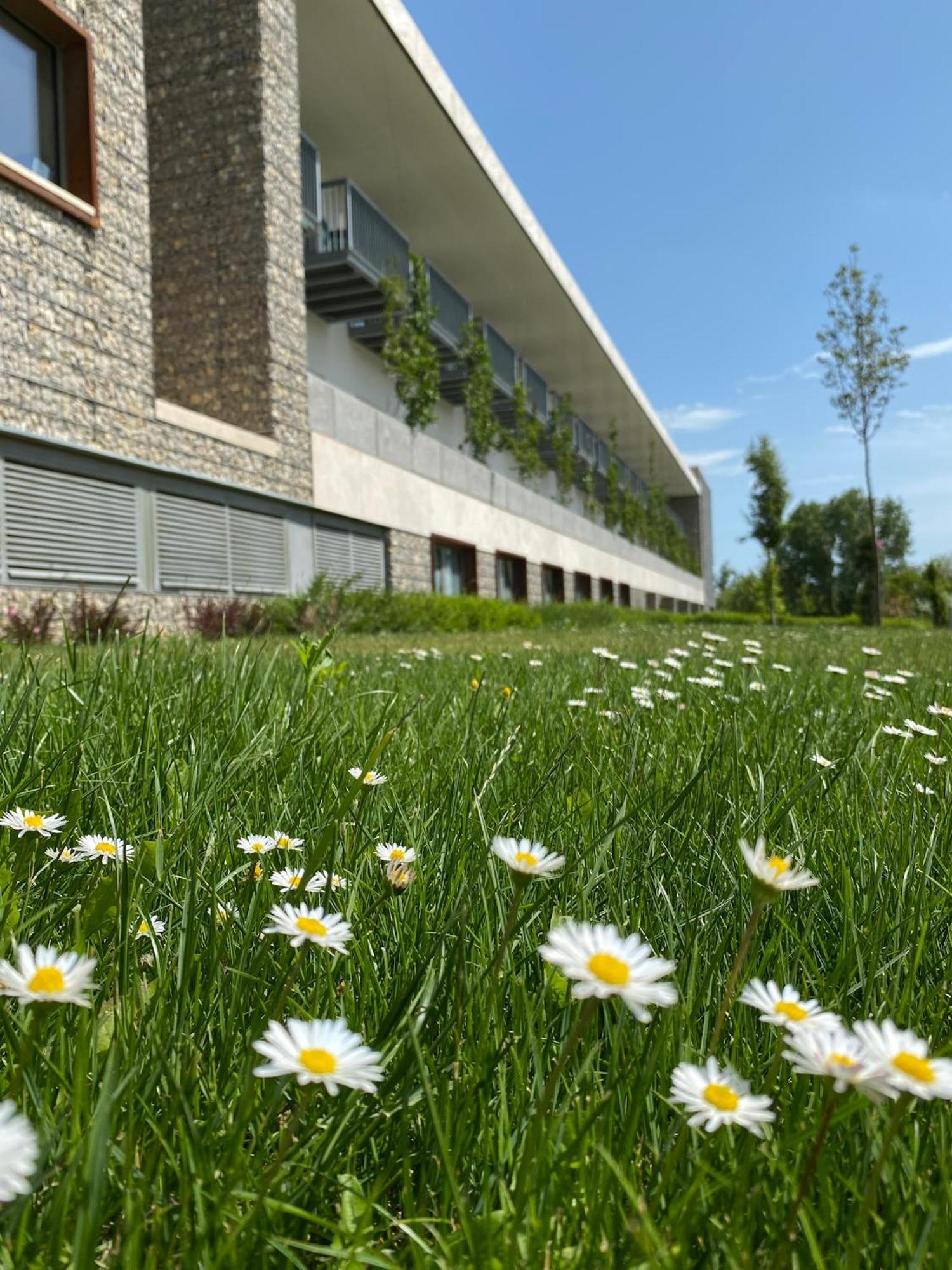 Akademia Hotel Balatonfüred Екстериор снимка